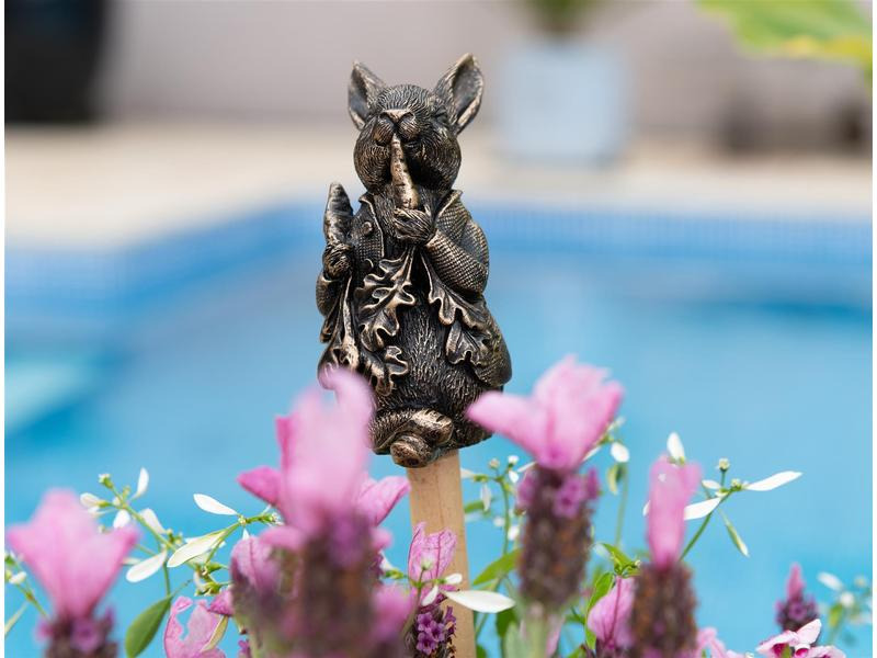 Jardinopia Cane Companions Peter Rabbit
