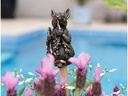 Jardinopia Cane Companions Peter Rabbit