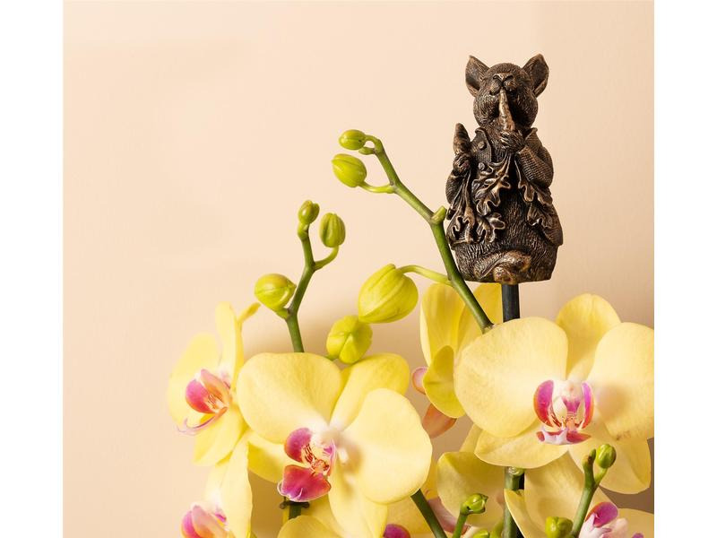 Jardinopia Cane Companions Peter Rabbit
