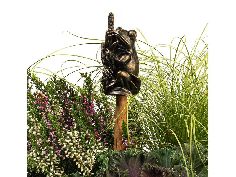Jardinopia Cane Companions Frosch