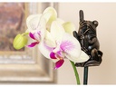 Jardinopia Cane Companions Frosch