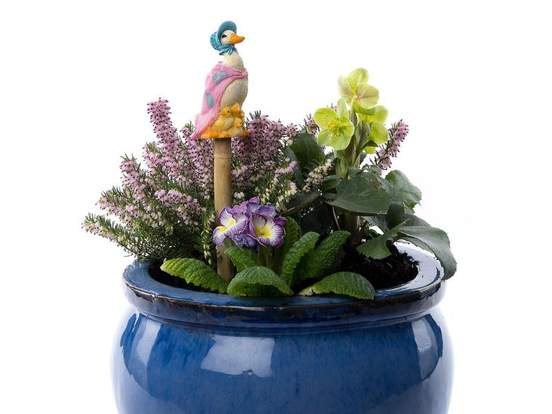 Jardinopia Cane Companions Jemima Puddle-Duck, Mehrfarbig