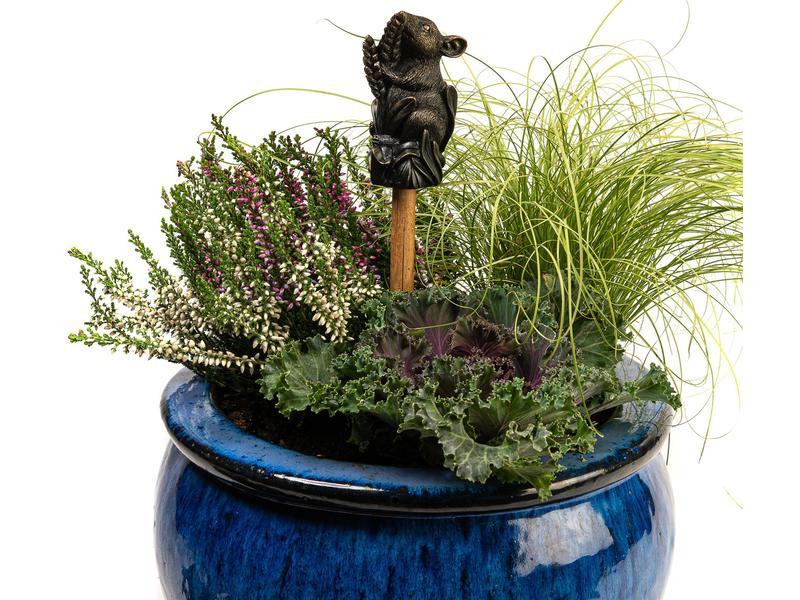 Jardinopia Cane Companions Maus