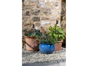 Jardinopia Cane Companions Maus