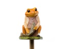 Jardinopia Cane Companions Mr. Jeremy Fisher, Mehrfarbig