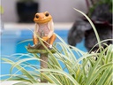 Jardinopia Cane Companions Mr. Jeremy Fisher, Mehrfarbig