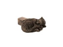 Jardinopia Pflanzentopffüsse Potty Feet Schlafende Katze, 3er Set