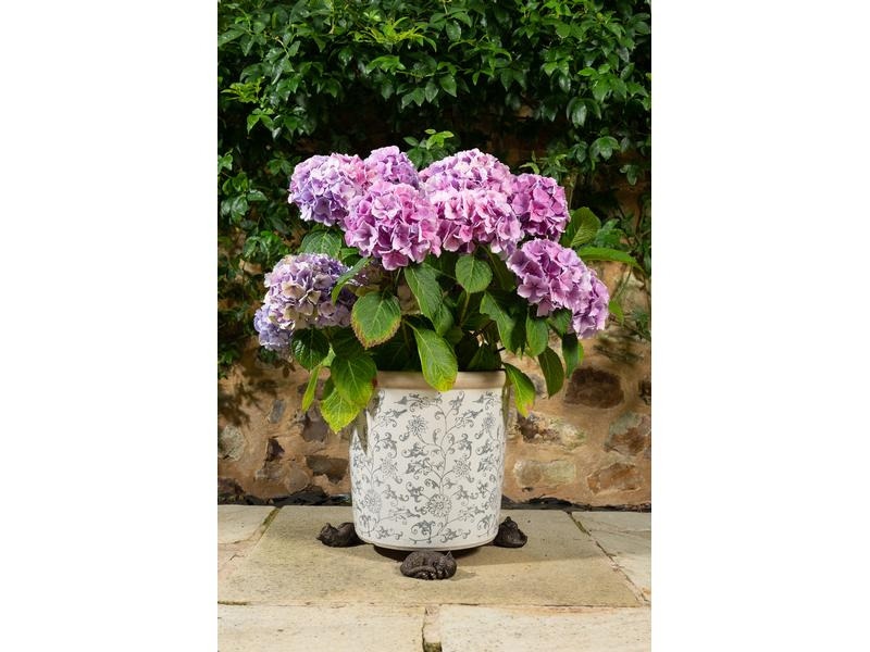 Jardinopia Pflanzentopffüsse Potty Feet Schlafende Katze, 3er Set