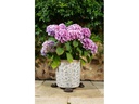 Jardinopia Pflanzentopffüsse Potty Feet Schlafende Katze, 3er Set