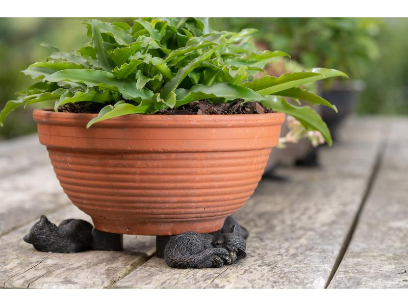Jardinopia Pflanzentopffüsse Potty Feet Schlafende Katze, 3er Set