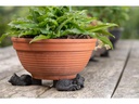 Jardinopia Pflanzentopffüsse Potty Feet Schlafende Katze, 3er Set