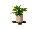 Jardinopia Pflanzentopffüsse Potty Feet Schlafende Katze, 3er Set