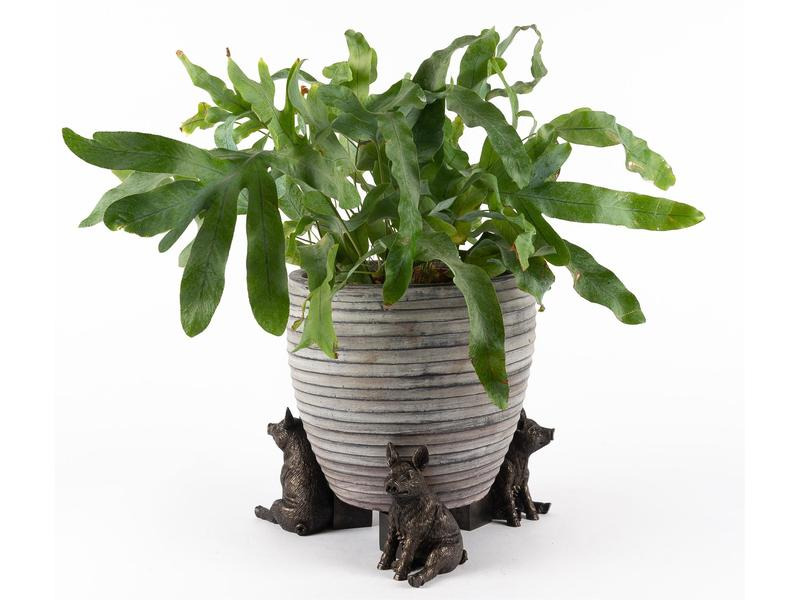Jardinopia Pflanzentopffüsse Potty Feet Schwein, 3er Set