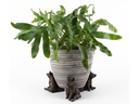 Jardinopia Pflanzentopffüsse Potty Feet Schwein, 3er Set