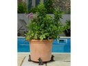 Jardinopia Pflanzentopffüsse Potty Feet Schwein, 3er Set