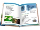 Ravensburger Kinder-Sachbuch WWW Erstleser: In der Natur (Band 10)
