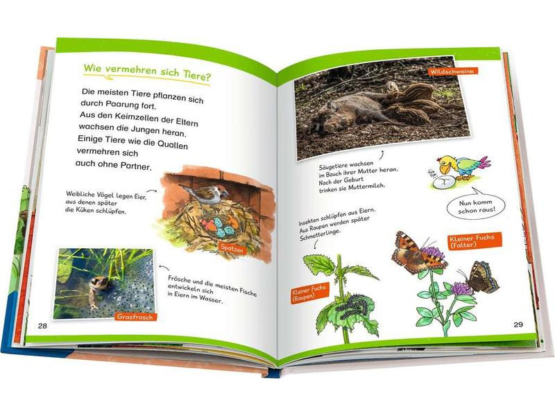 Ravensburger Kinder-Sachbuch WWW Erstleser: In der Natur (Band 10)