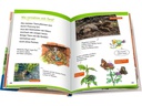 Ravensburger Kinder-Sachbuch WWW Erstleser: In der Natur (Band 10)