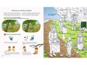 Ravensburger Kinder-Sachbuch WWW aktiv-Heft: Natur