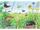 Ravensburger Kleinkinder Puzzle WWW Tiere im Wald und auf der Wiese