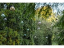 STT Lichterkette Solar Partylight Amela, 10 LEDs,4.5m,Mehrfarbig