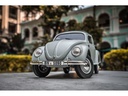 RocHobby Scaler Käfer «the Peoples Car» 1:12, RTR