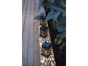 Star Trading Gartenlicht Izola Mini, Schwarz