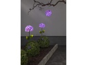 Star Trading Gartenlicht Solar Hortensia, Pink