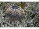 STT Windlicht Solar Antic Ball Julia, Ø 40 cm, Alt Weiss