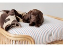 OYOY Hunde-Decke Kaya, L, Choko