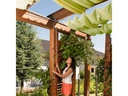 Windhager Sonnensegel-Pergola-Komplett-Set, 270 x 140 cm, Grün