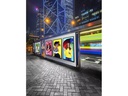Peerless-AV Public Display Outdoor XHB554-EUK 55