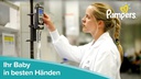 Pampers Windeln Premium Protection Junior Grösse 5