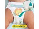 Pampers Windeln Premium Protection Pants Junior Grösse 5