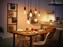 Philips Hue Leuchtmittel White, E27, Filament, Edison, 550 lm