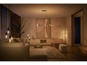 Philips Hue Leuchtmittel White, E27, Filament, Giant Globe, 550 lm