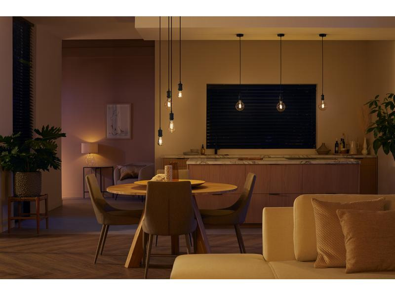 Philips Hue Leuchtmittel White, E27, Filament, Giant Globe, 550 lm