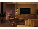 Philips Hue Leuchtmittel White, E27, Filament, Giant Globe, 550 lm