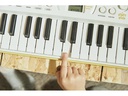 Casio Mini Keyboard SA-80