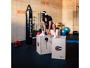 Gladiatorfit Sprung-Plyobox aus Holz 3 in 1