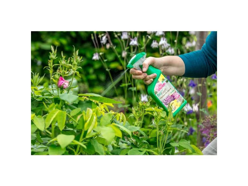 Neudorff BioKraft Vitalkur für Rosen AF, 500 ml