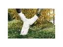 Neudorff Bio-Baumanstrich, 2 L