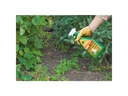 Neudorff Unkrautvernichter Finalsan AF UnkrautFrei Plus, 750 ml