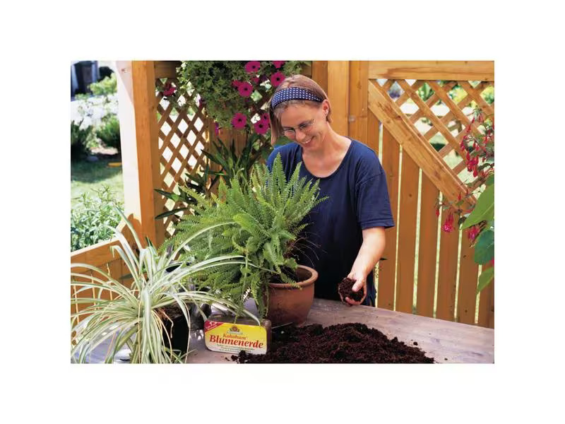 Neudorff Blumenwiesenerde Kokohum Blumenerde, Brikett, 600 g