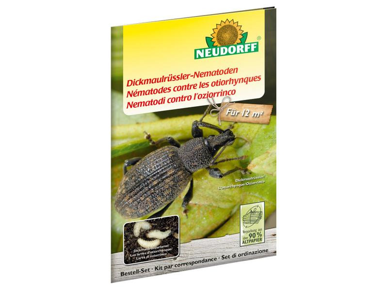 Neudorff Nematoden Gutschein Dickmaulrüssler