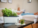 Gusta Garden Kräutertopf HARRY HERBS mit Haube, Weiss