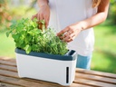 Gusta Garden Kräutertopf HARRY HERBS mit Haube, Weiss