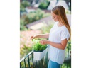 Gusta Garden Kräutertopf HARRY HERBS mit Haube, Weiss