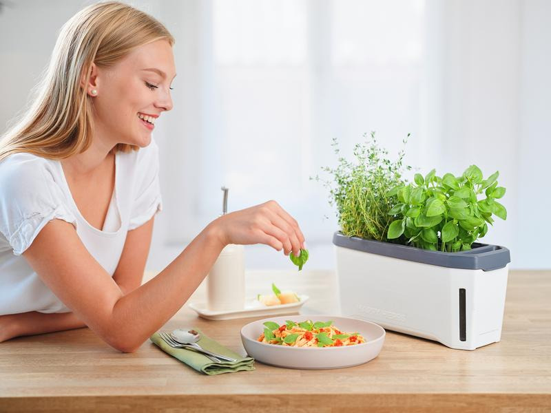 Gusta Garden Kräutertopf HARRY HERBS mit Haube, Weiss