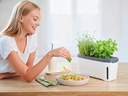 Gusta Garden Kräutertopf HARRY HERBS mit Haube, Weiss